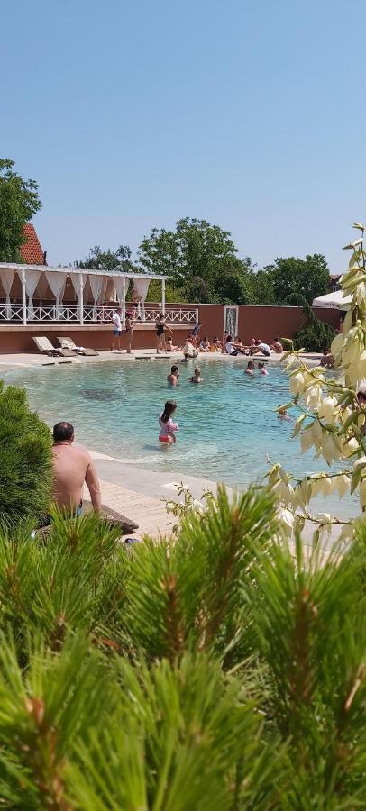 Solaris Resort Vrnjačka Banja Extérieur photo