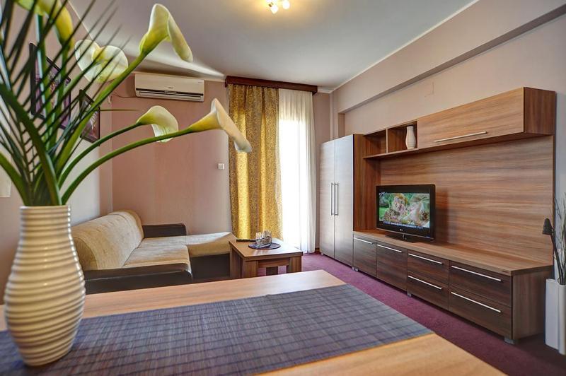 Solaris Resort Vrnjačka Banja Chambre photo